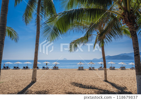Beach umbrellas with sun beds on sandy beach with palm trees by sea at a tropical resort in summer day in Asia Beach umbrellas with sun beds on sandy beach with palm trees by sea at a tropical resort in summer day in Asia 118679837