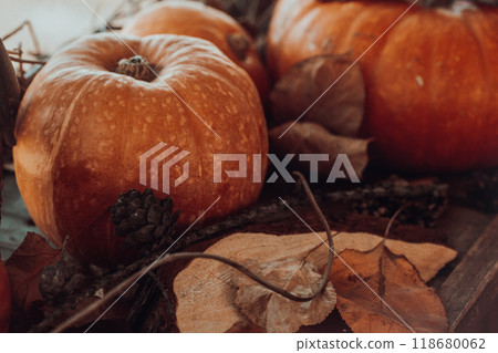 Atmospheric autumn set. Big pumpkins among dried leaves and twigs, selective focus. Atmospheric autumn set. Big pumpkins among dried leaves and twigs, selective focus. 118680062