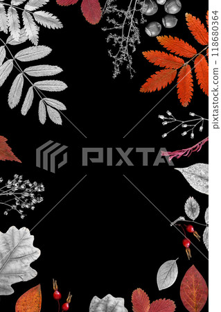 Autumn frame. Silver and orange fallen leaves of different trees with dry herbs, nuts and acorns on black background, copy space, vertical format. 118680364