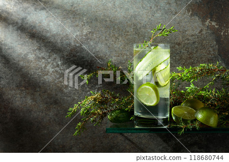 Gin and Tonic with ice, lime, cucumber, and juniper branches. Gin and Tonic with ice, lime, cucumber, and juniper branches. 118680744
