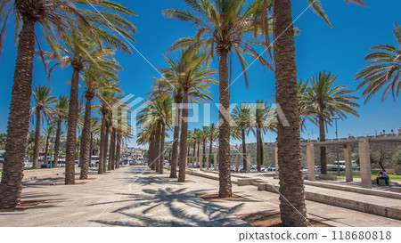 Palm trees on Alley Mish'ol HaPninim Garden leading to the Damascus Gate timelapse hyperlapse in Jerusalem Old City, Israel. 118680818