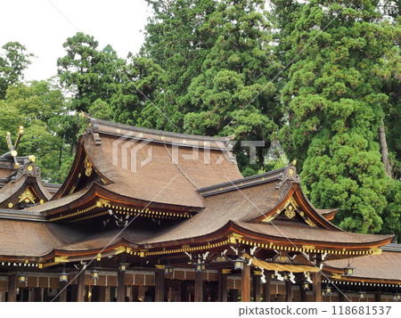滋賀縣多賀大社參拜殿 8 月 滋賀縣多賀大社參拜殿 8 月 118681537