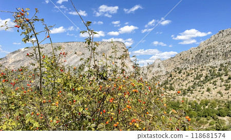 Harmankoy's Green Paradise.Located in Bilecik province of Turkey, Harmankoy is a natural wonder hidden in the Harmankaya Canyon. This photo reveals the village's lush green nature . Harmankoy's Green Paradise.Located in Bilecik province of Turkey, Harmankoy is a natural wonder hidden in the Harmankaya Canyon. This photo reveals the village's lush green nature . 118681574