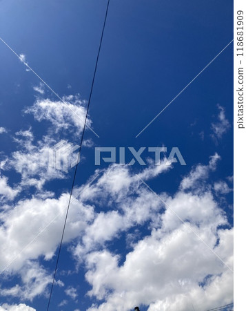 Summer sky and electric wires Summer sky and electric wires 118681909