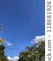 夏日的天空 118681926