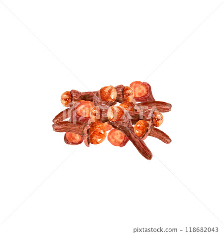 Clove spice heap illustration composition watercolor isolated on white background, hand drawn for food design. Great for spice box, restaurant, cafe menu, recipes, natural organic food ads and label Clove spice heap illustration composition watercolor isolated on white background, hand drawn for food design. Great for spice box, restaurant, cafe menu, recipes, natural organic food ads and label 118682043