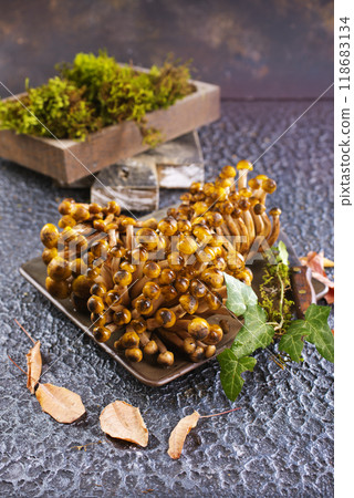 beautiful autumn honey fungus, raw mushrooms beautiful autumn honey fungus, raw mushrooms 118683134