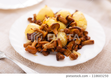 Delicious fried chanterelles with new potatoes on a white plate Delicious fried chanterelles with new potatoes on a white plate 118683250