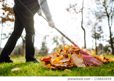 Rake with fallen leaves in autumn. Man cleans the autumn park from yellow leaves. Volunteering. Rake with fallen leaves in autumn. Man cleans the autumn park from yellow leaves. Volunteering. 118683839