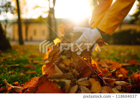 Woman cleans autumn park from yellow leaves. Volunteering, cleaning concept. Seasonal gardening. Woman cleans autumn park from yellow leaves. Volunteering, cleaning concept. Seasonal gardening. 118684037