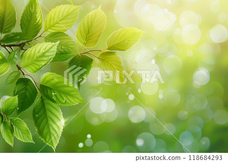 copy space background with green leaf,copy-space of add text, product and Advertising media 118684293
