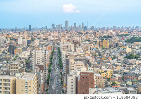 [Nerima Ward Office Main Building Observation Lobby] East side: Ikebukuro and Tokyo Skytree direction: Nerima Ward streetscape 118684388