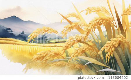Golden ears of rice, autumn harvest, Generative AI, AI images 118684402