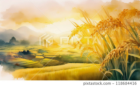 金黃的稻穗，秋收，生成AI，AI影像 118684416
