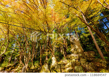 Aichi Prefecture Korankei Gorge Autumn Leaves Aichi Prefecture Korankei Gorge Autumn Leaves 118684547