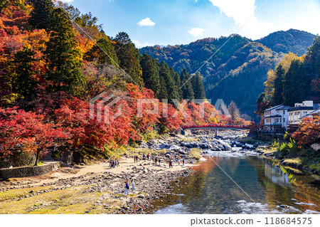 Aichi Prefecture Korankei Gorge Autumn Leaves 118684575