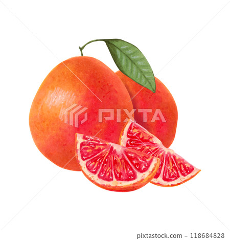 Grapefruit composition. Whole and slices with leaf. Watercolor and marker illustration. Eco-friendly pink fruit. Hand drawn isolated art. Healthy, natural food for food packaging, juice, menu 118684828