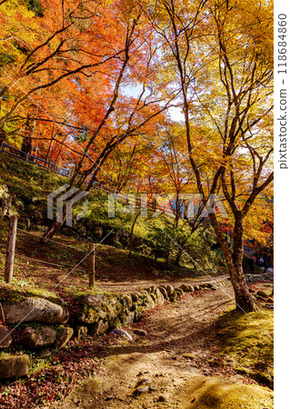 愛知縣Korankei峽谷紅葉 118684860