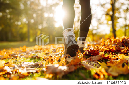 Close-up of feet in hiking boots in clearing among fallen leaves in sunny autumn park. outdoor walk. 118685020