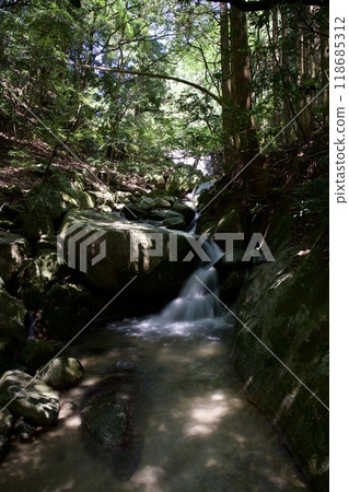 福岡縣秋月市團後庵的水坑 福岡縣秋月市團後庵的水坑 118685312