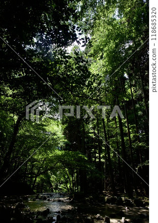 福岡縣秋月市團後庵的水坑 118685320