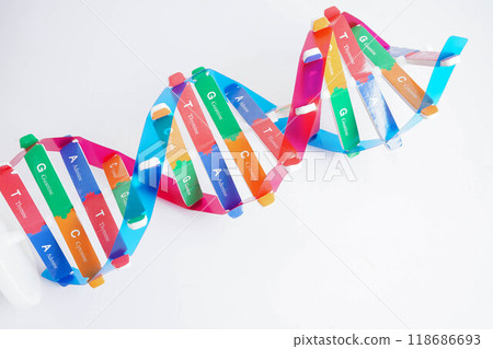 DNA molecule spiral structure model isolated on white background, chromosome and gene chemical science biology. 118686693