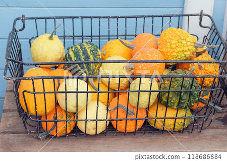Decorative pumpkins are sold at the local market. Pumpkin with rural decor on haystack. Fall decorations on thanksgiving. Halloween. Decorative pumpkins are sold at the local market. Pumpkin with rural decor on haystack. Fall decorations on thanksgiving. Halloween. 118686884