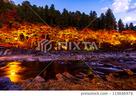 愛知縣香蘭溪紅葉彩燈 118686978