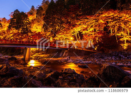 Illumination of autumn leaves at Korankei in Aichi Prefecture 118686979