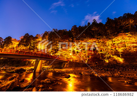 Illumination of autumn leaves at Korankei in Aichi Prefecture Illumination of autumn leaves at Korankei in Aichi Prefecture 118686982