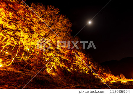 Illumination of autumn leaves at Korankei in Aichi Prefecture 118686994
