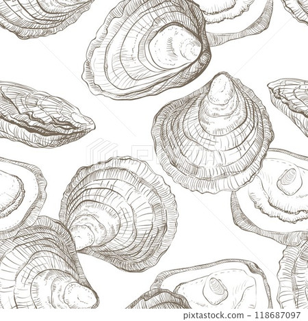 Vector seamless pattern of oysters. Hand drawn oyster shells on white background, linear sketch. Engraving effect, ink fox. Clipart for packaging, menu. 118687097