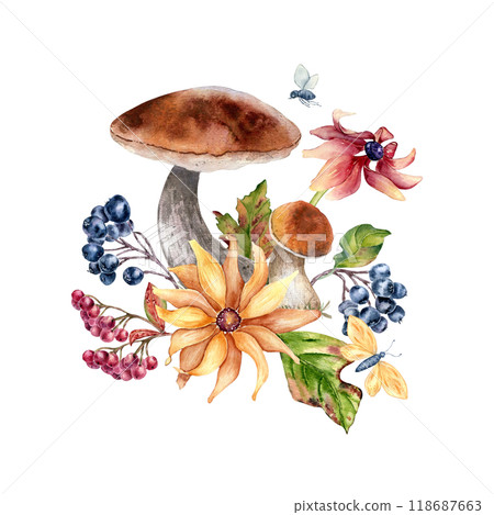 Watercolor autumn composition with mushrooms, berries, flowers, and butterfly isolated on white. Floral illustration of fall leaves and porcini hand painted for seasonal nature design, greetings. Watercolor autumn composition with mushrooms, berries, flowers, and butterfly isolated on white. Floral illustration of fall leaves and porcini hand painted for seasonal nature design, greetings. 118687663
