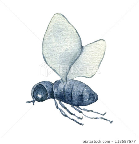 Little cute fly watercolor illustration isolated. Funny bug with wings in flight hand drawn in botanical sketch. Insect, butterfly simple style painted for design autumn holiday, nature theme. 118687677