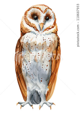 Owl illustration, detailed watercolor bird hand-painted isolated on white for wildlife art, home decor, Design Projects 118687933