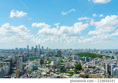 Cityscape seen from a skyscraper 118688241