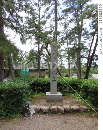 天橋立石碑位於日本三大風景之一的天橋立松林中 118688539