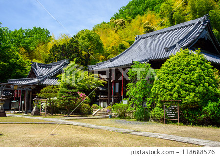 被新綠色包圍的山崎商店正殿 118688576