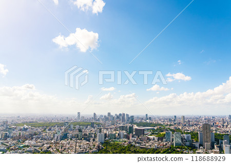 [Tokyo] View of the big city's streets, Shinjuku subcenter 118688929