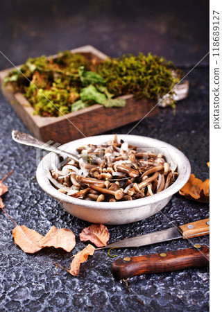 Salad of pickled honey mushrooms, Salad of pickled honey mushrooms, 118689127