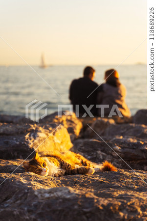 A cat on the background of a couple in love on the embankment in Istanbul 118689226