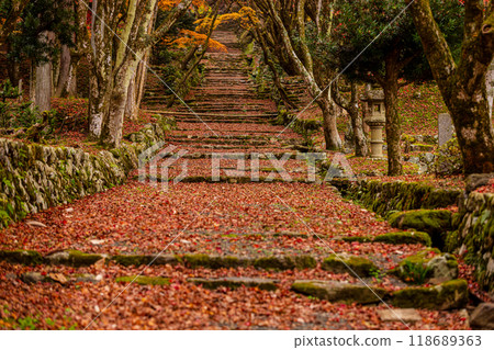 滋賀縣慶石寺的秋葉 118689363