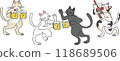 Cat drinking beer 118689506