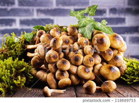 Mushrooms of honeydew are lying on a wooden table. View from above. 118689753