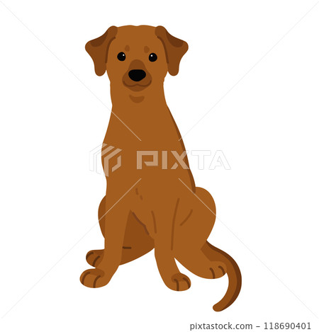 Illustration of a sitting Rhodesian Ridgeback (no main lines) Illustration of a sitting Rhodesian Ridgeback (no main lines) 118690401