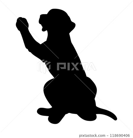 羅德西亞脊背犬手牽手的剪影 118690406