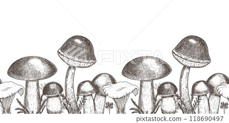 Border with edible mushrooms. Hand drawn vector illustration 118690497