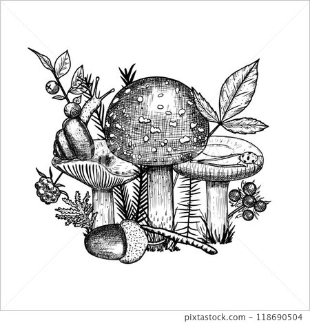 Hand drawn mushrooms with acorn, moss, berries, snail. Vector illustration 118690504