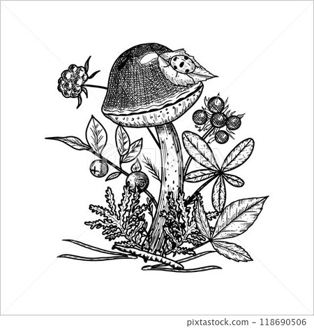 Hand drawn mushroom with moss, leaves, berries. Vector illustration Hand drawn mushroom with moss, leaves, berries. Vector illustration 118690506
