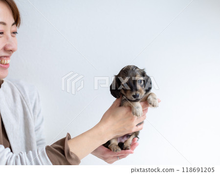 kaninhen 臘腸犬 小狗 kaninhen 臘腸犬 小狗 118691205